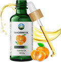 Tangerine Essential Oils - 100Ml, Pure Essential Oil - Massage Oils for Massage Therapy, Aromatherapy - Tangerine Citrus Essential Oils for Skin, Home Diffusers, Humidifier, Burner, Candle Making