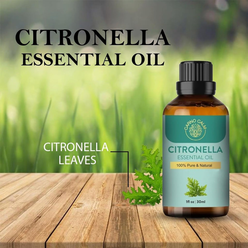Citronella Essential Oil 30Ml | Great for Candle Making, Wax Melts, Aroma | for Natural Soap Making, Cleaning Supplies, Diffuser, Humidifier, DIY, Home, Office, Cruelty Free | Vegan | 1 Fl. Oz
