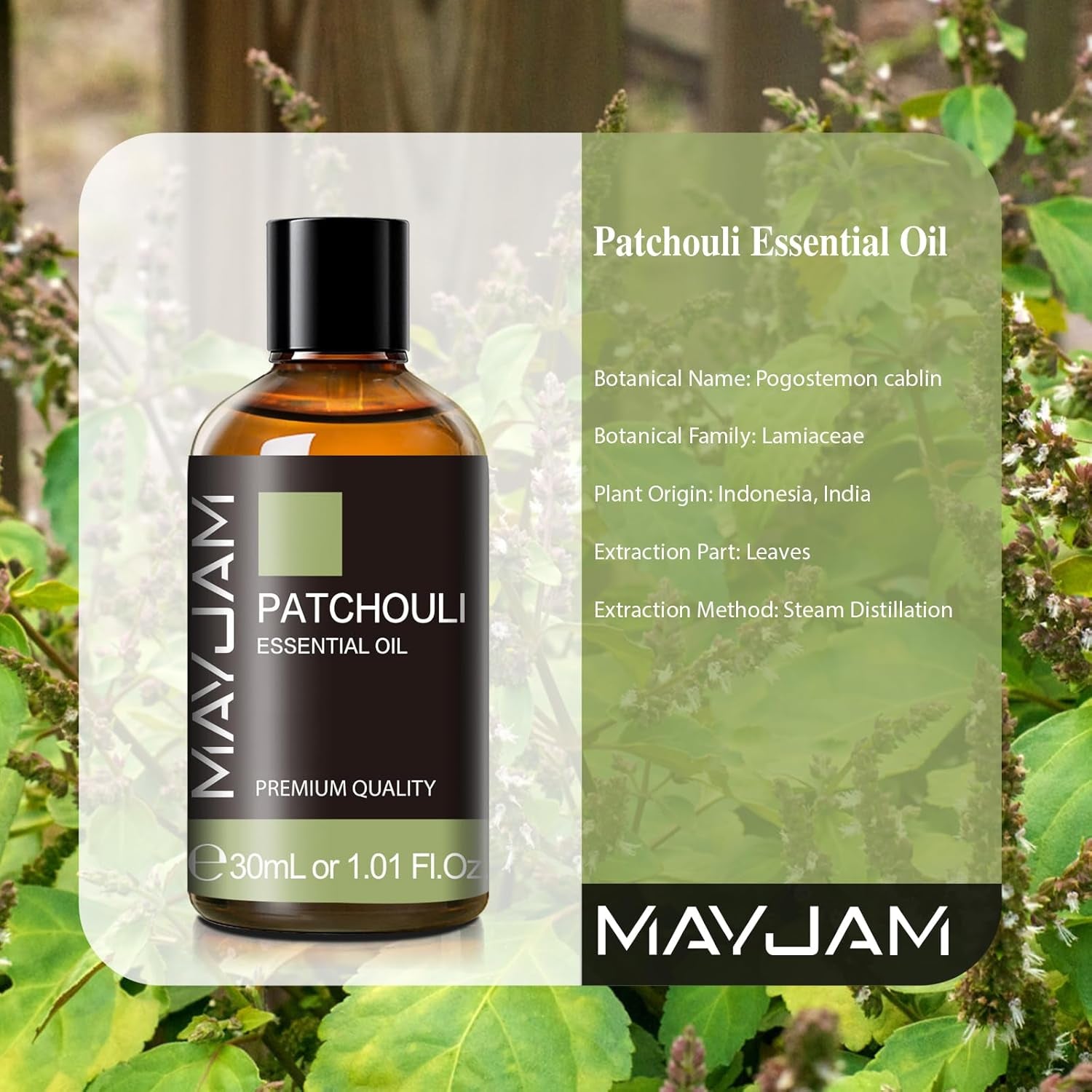 Patchouli Essential Oil 30ML - Premium Diffuser Oil | with Glass Dropper, Long Lasting Aroma, for Diffuser, Aromatherapy, Massage, Candle and Soap Making, Bedroom, Office