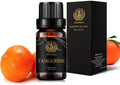 Tangerine Aromatherapy Essential Oil, 100% Pure Tangerine Scent Essential Oil for Diffusers, Humidifier, Therapeutic Grade Aromatherapy Tangerine Scent Essential Oil Fragrance for Massage 0.33Oz-10Ml